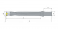 QD-3D-CA