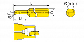MTR-10-R0.2-L55-JF610M Мини-резец для продольного растачивания