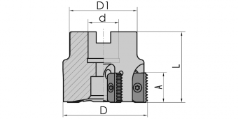 SR0063C30-4 Фреза насадная резьбонарезная (Daoqin)