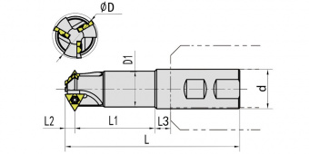 SMT21-25H11U-2 Фреза концевая резьбонарезная (Daoqin)